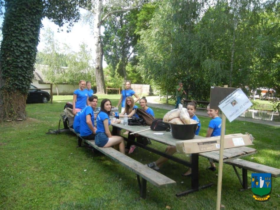 2015. Falunap