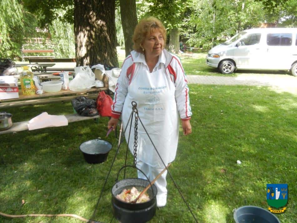2015. Falunap