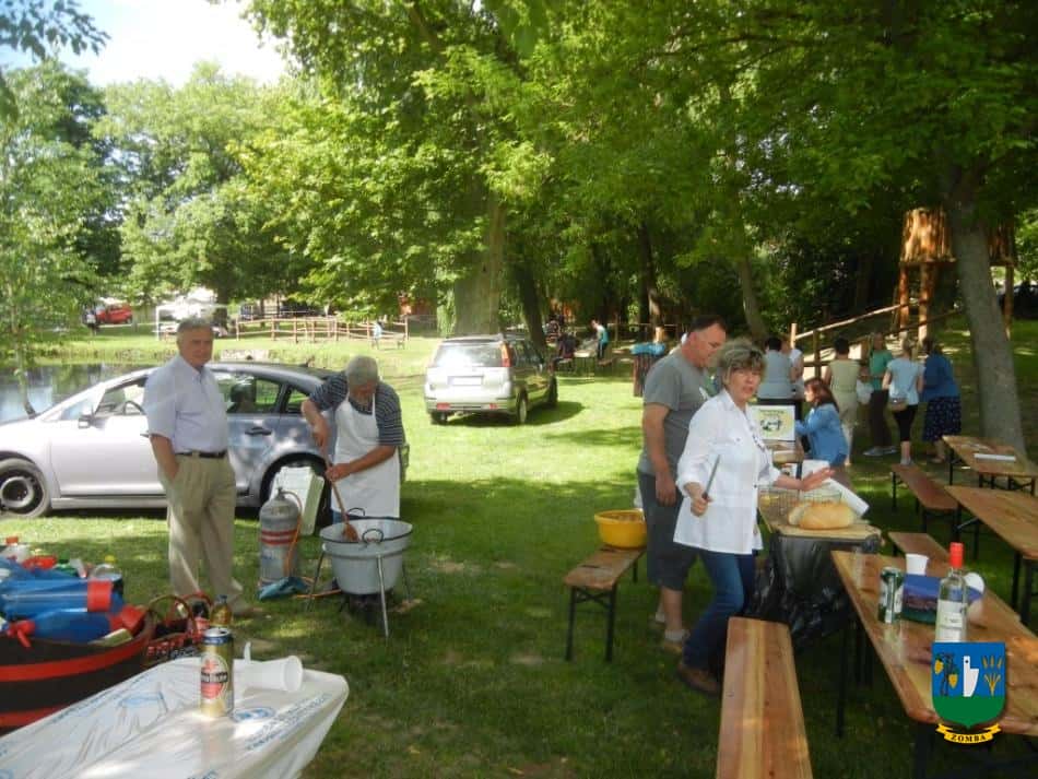 2015. Falunap
