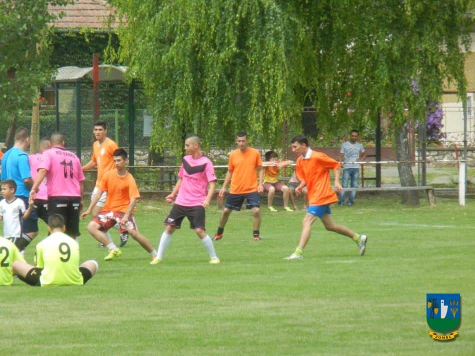 2015. Falunap