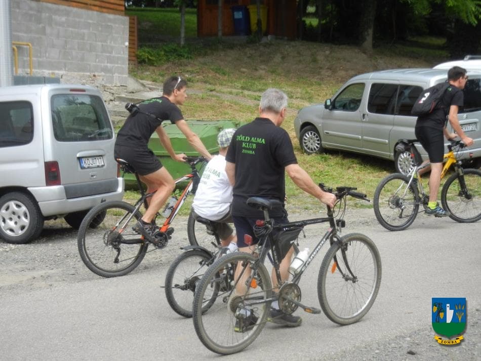 2015. Falunap
