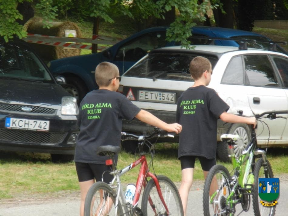 2015. Falunap