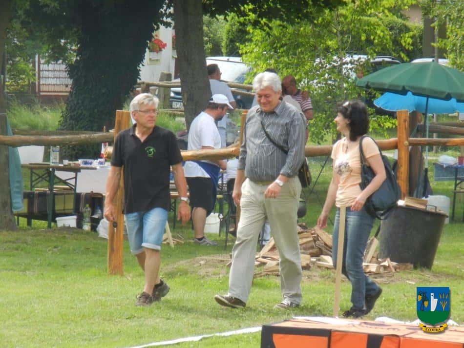 2015. Falunap