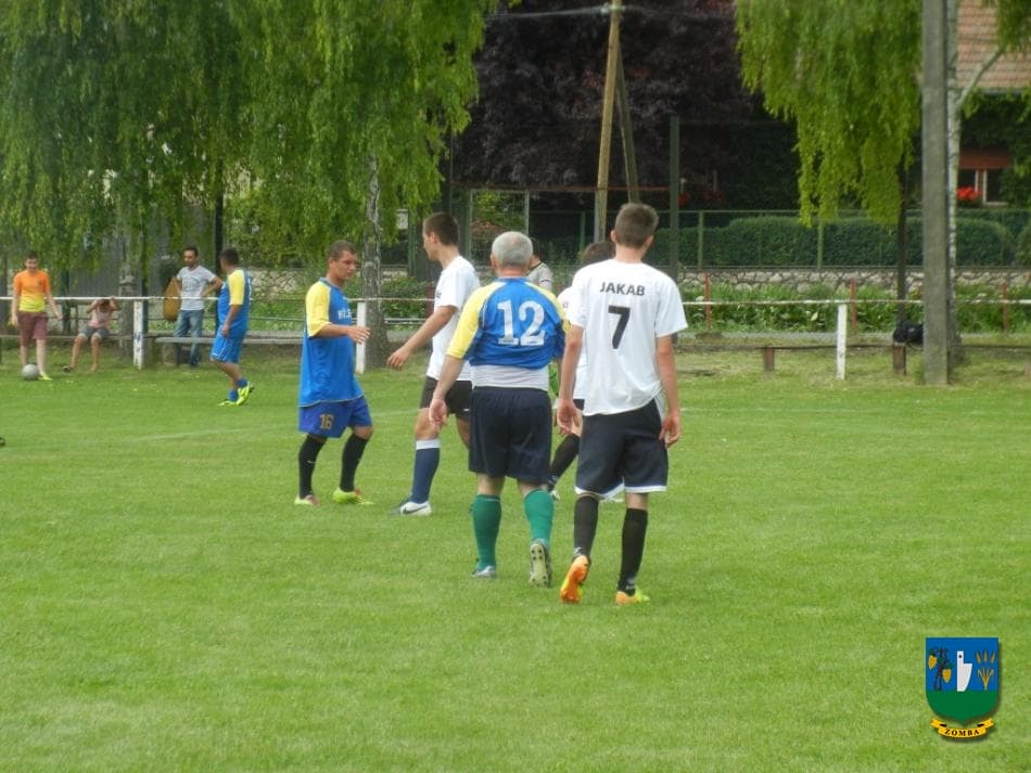 2015. Falunap