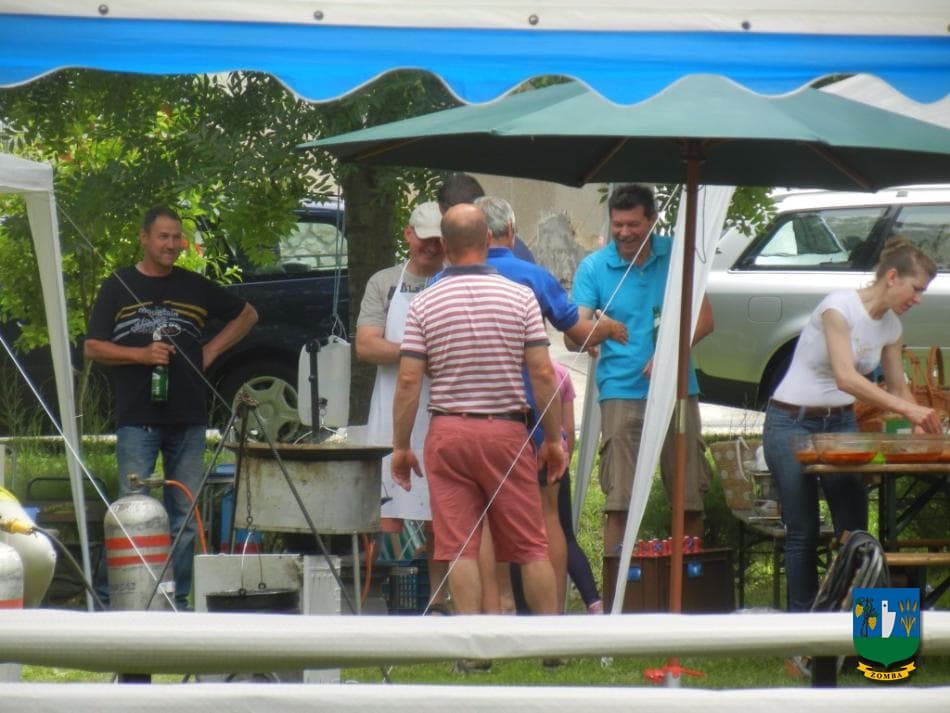 2015. Falunap