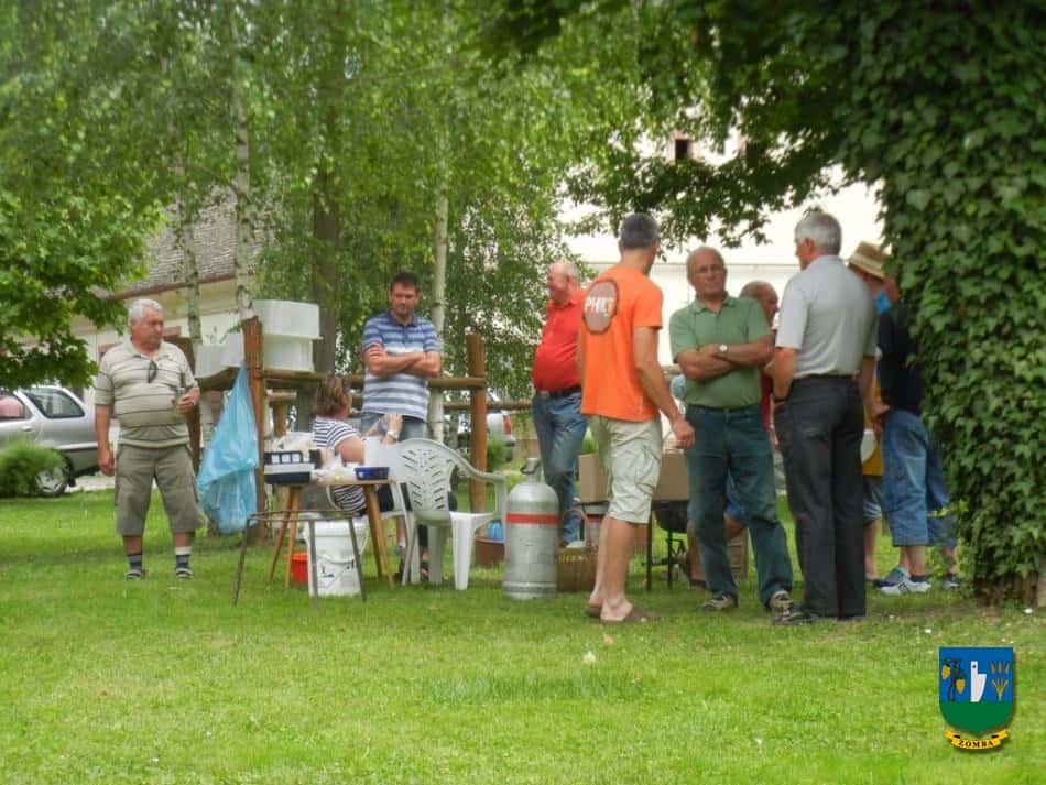 2015. Falunap