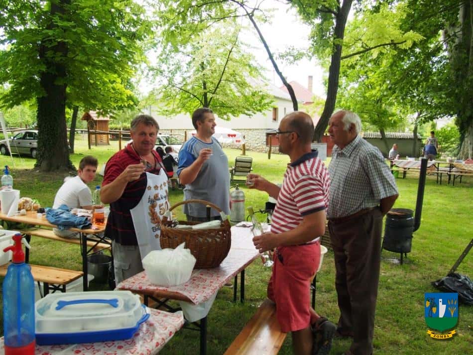2015. Falunap