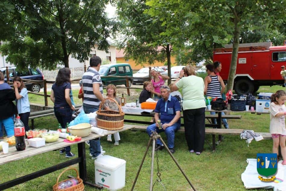 2014. Falunap