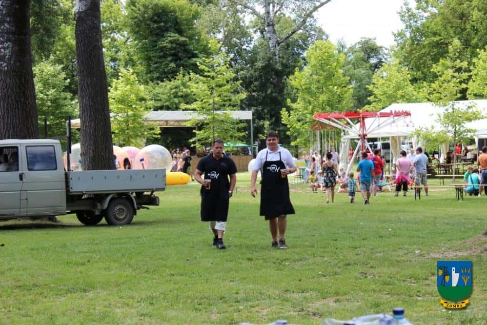 2014. Falunap