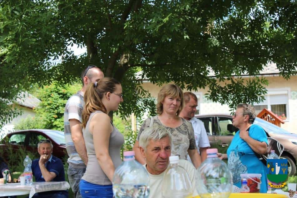 2014. Falunap