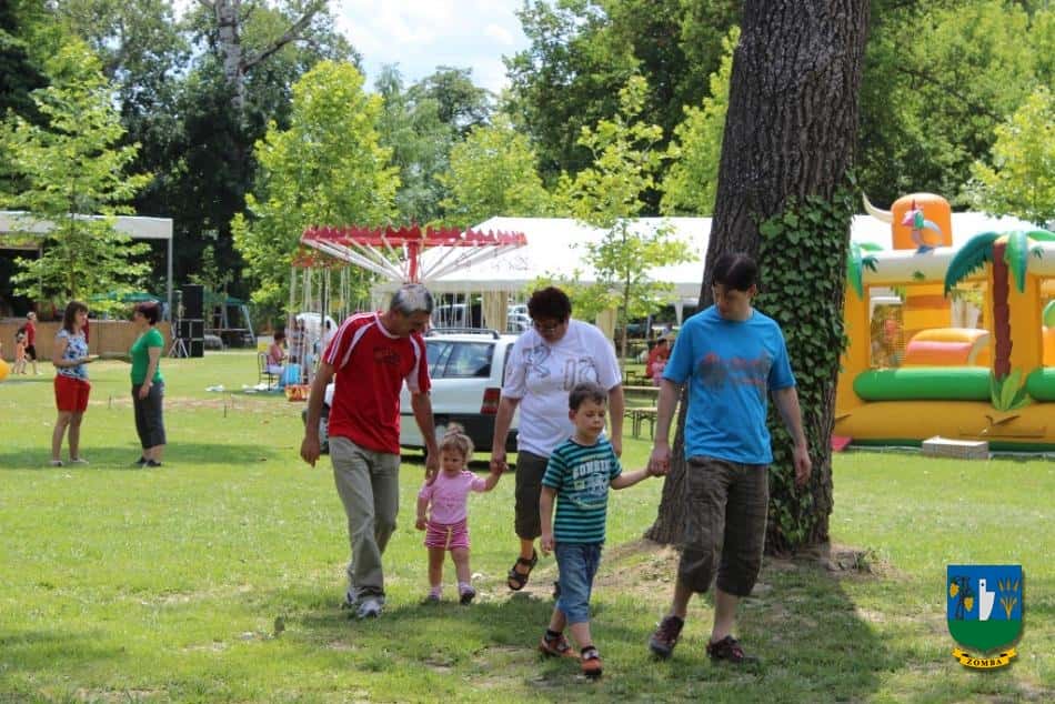 2014. Falunap