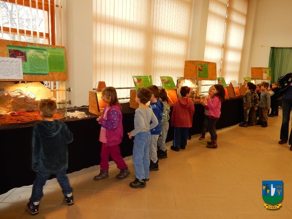 2016. január 15. Hüllőbemutató