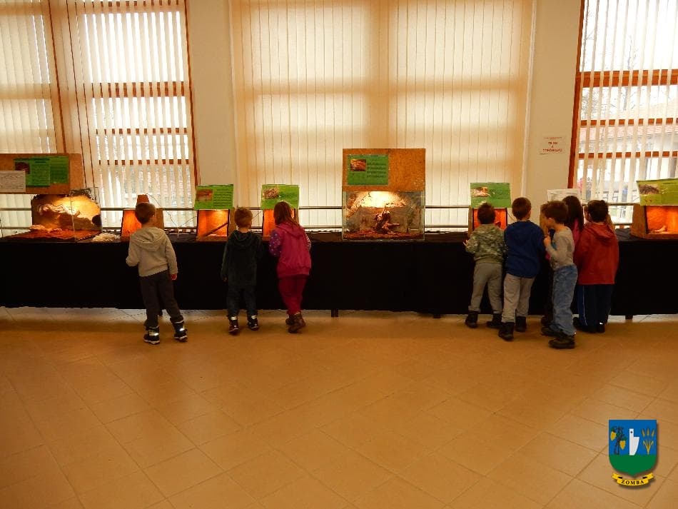 2016. január 15. Hüllőbemutató