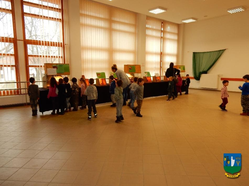 2016. január 15. Hüllőbemutató