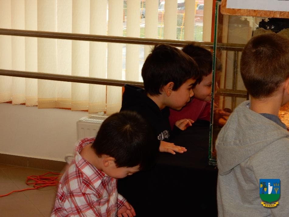 2016. január 15. Hüllőbemutató