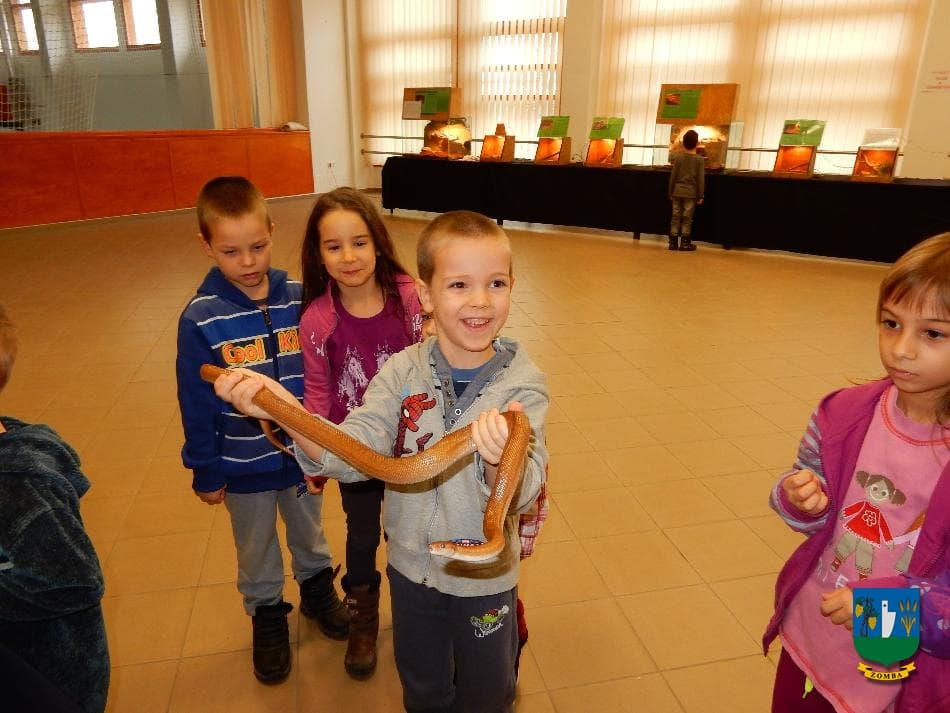 2016. január 15. Hüllőbemutató