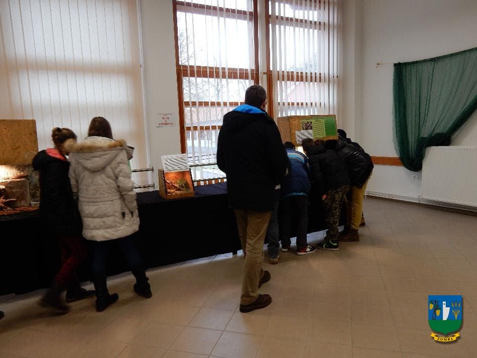 2016. január 15. Hüllőbemutató