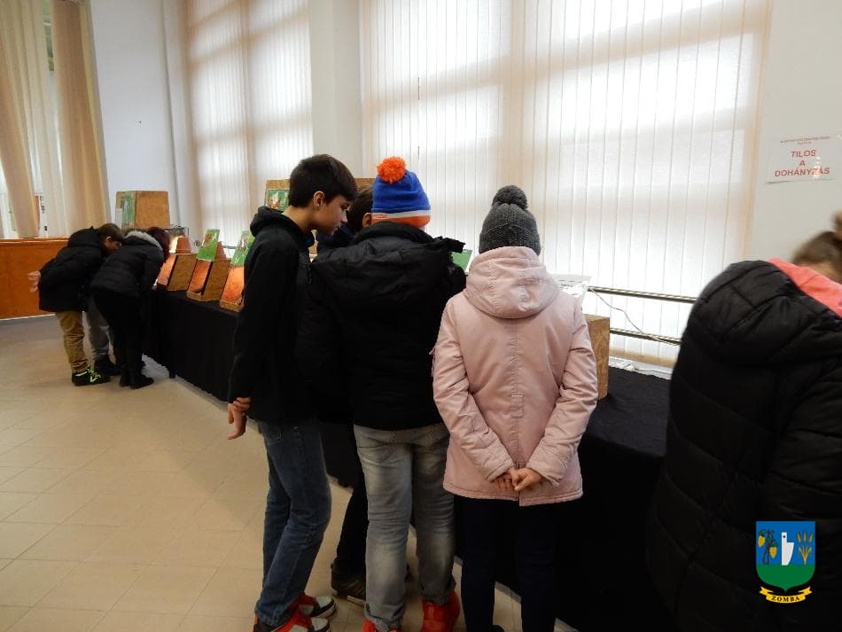 2016. január 15. Hüllőbemutató