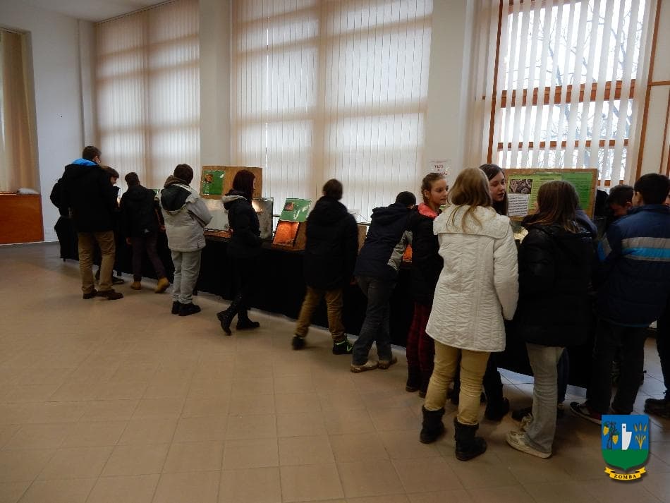 2016. január 15. Hüllőbemutató
