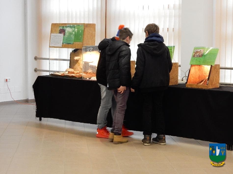 2016. január 15. Hüllőbemutató
