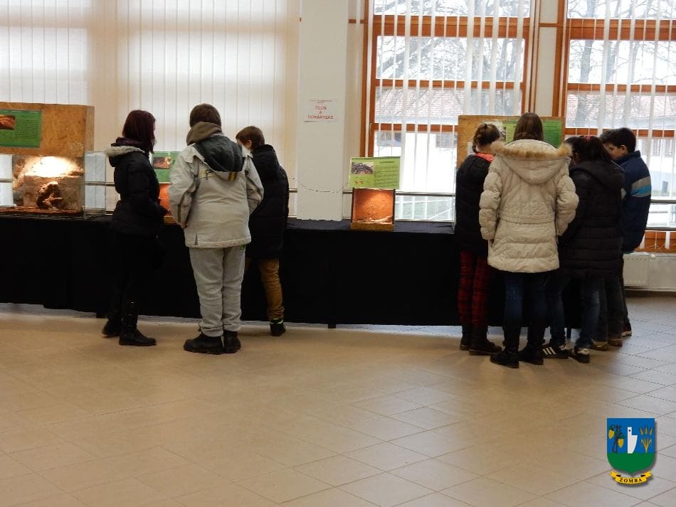 2016. január 15. Hüllőbemutató