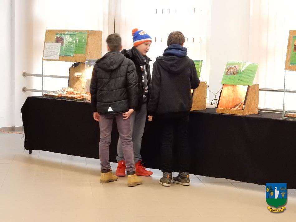 2016. január 15. Hüllőbemutató
