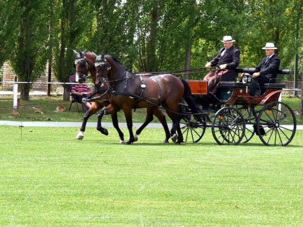 2017. Lovasnapok