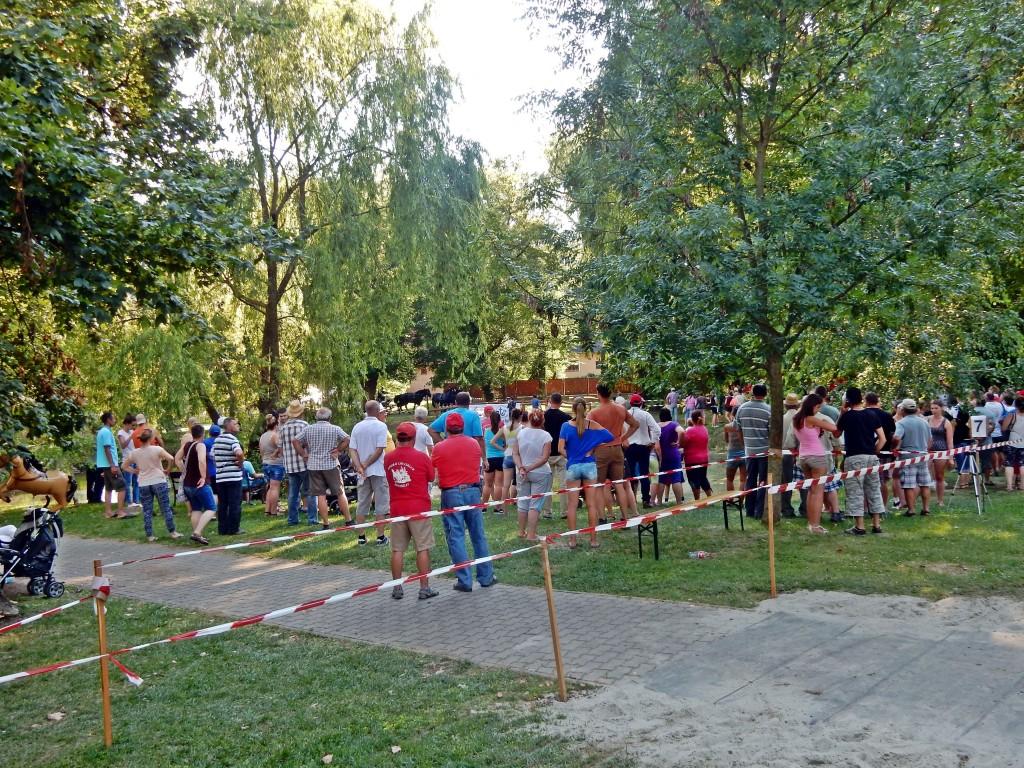 2016. július 1-2-3. Lovasnapok