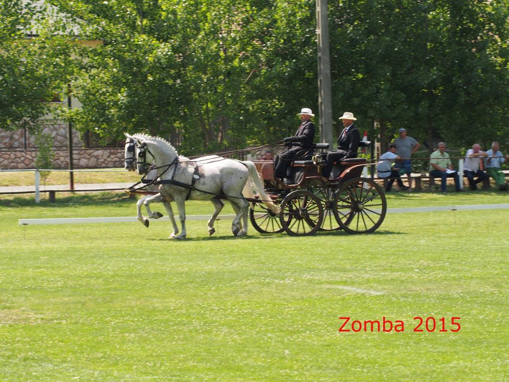 2015. Lovasnapok