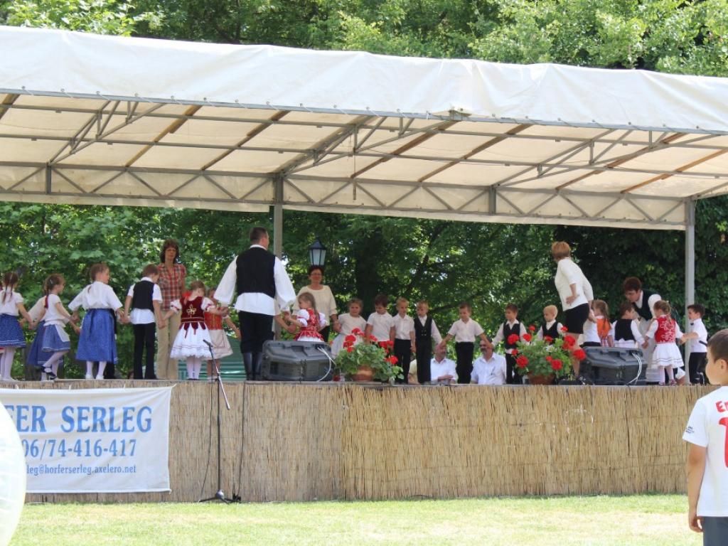 2014. Falunap